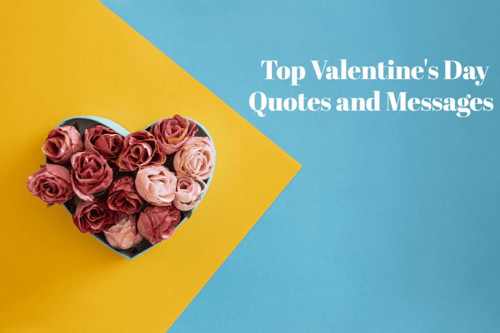 25 Best Valentines Day Quotes and Messages - Black Tulip Flowers