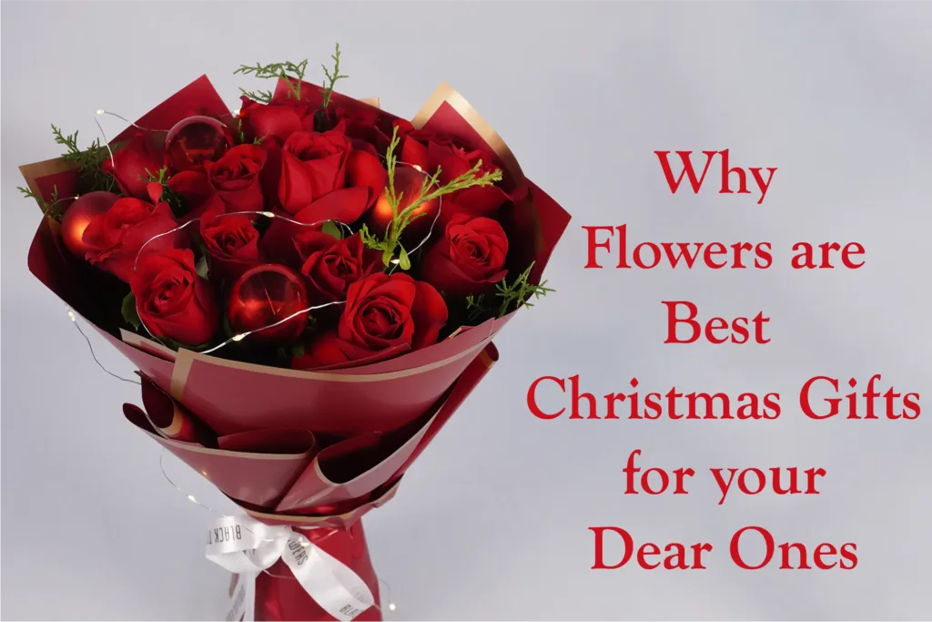 Why Flowers are Best Christmas Gifts for your Dear Ones - BTF