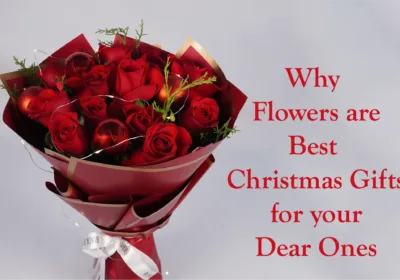 Why Flowers are Best Christmas Gifts for your Dear Ones - BTF