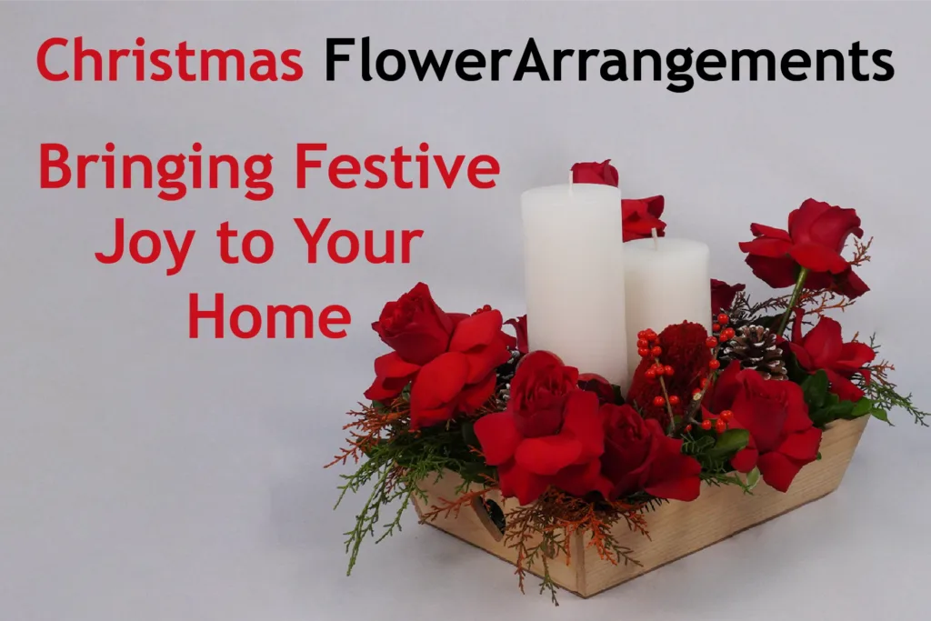 Christmas Flower Magic: Fill Your Home with Joy | BTF 2024