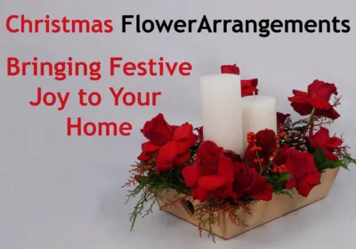 Christmas Flower Magic: Fill Your Home with Joy | BTF 2024