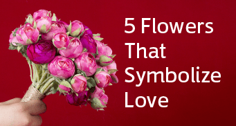 5 Flowers bouquet that Symbolize Love | Black Tulip Flowers India