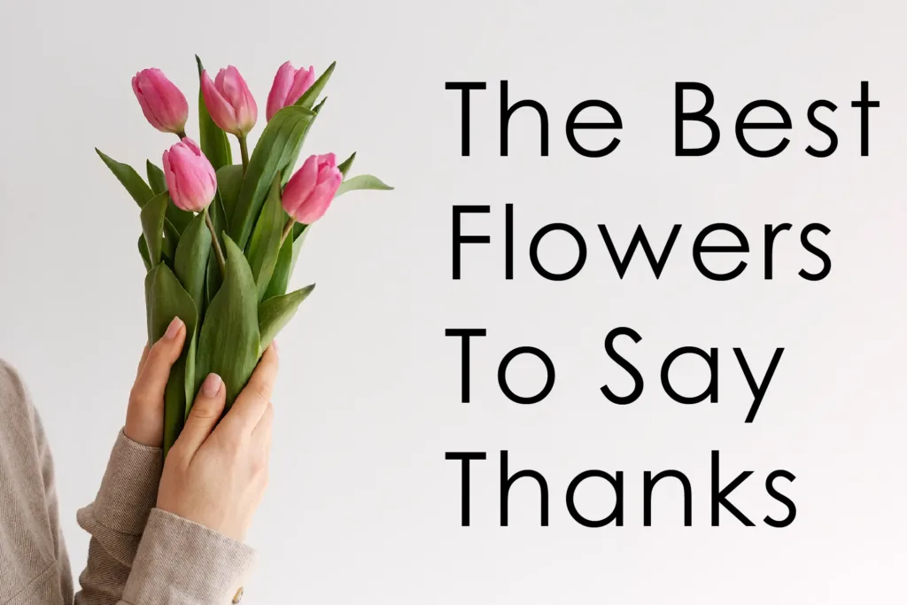 Best Flowers :Top 10 Unique Thank You Flowers in India | BTF
