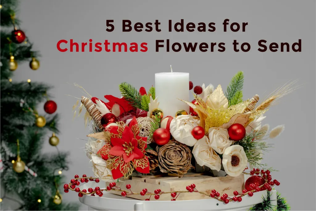 5 Best Ideas for Christmas Flowers to Send | Black Tulip Flowers India