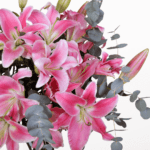 Sweet Blossom