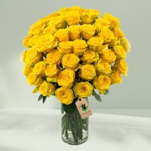 50 Stem Yellow Roses in a Vase