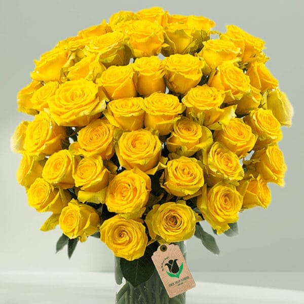 50 Stem Yellow Roses in a Vase