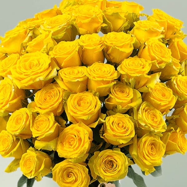 50 Stem Yellow Roses in a Vase
