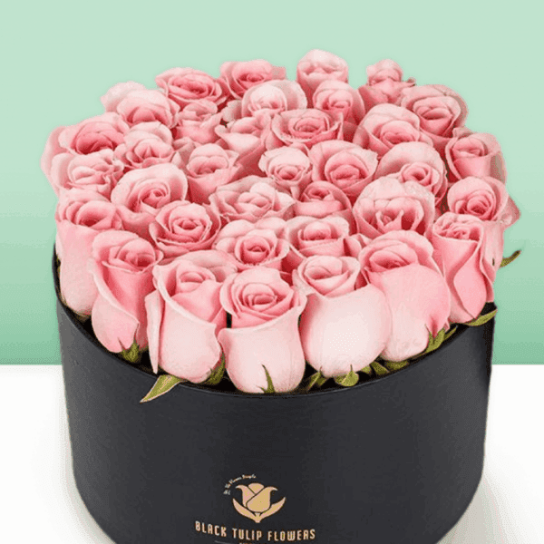30 to 45 baby pink roses in box