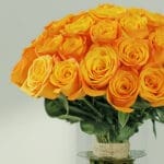 Bunch of Orange Roses (3)