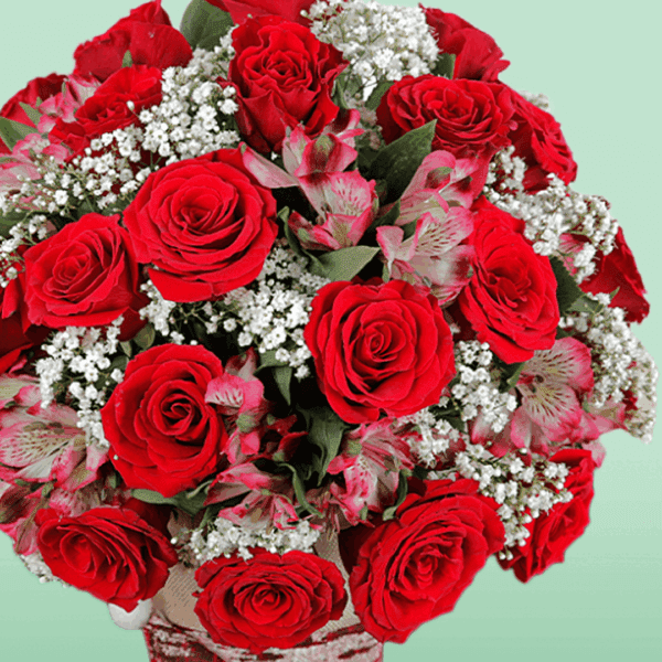 Bunch of Red Rose & Alstroemeria in Santa Claus Socks (2) Bunch of fresh red roses and white alstroemeria arranged in festive Santa Claus socks for Christmas gifting and holiday celebrations