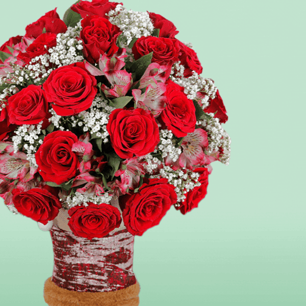 Bunch of Red Rose & Alstroemeria in Santa Claus Socks (3) Bunch of fresh red roses and white alstroemeria arranged in festive Santa Claus socks for Christmas gifting and holiday celebrations