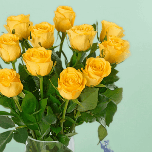 Classic dozen yellow rose bouquet wrapped elegantly with fresh green fillers and ribbon, perfect for birthday celebrations, anniversaries, and cheerful gifting moments.