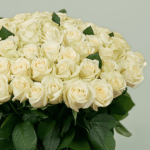 Heavenly White Roses (1)