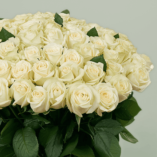 Heavenly White Roses bouquet with fresh white roses arranged elegantly for weddings, anniversaries, and special occasions.