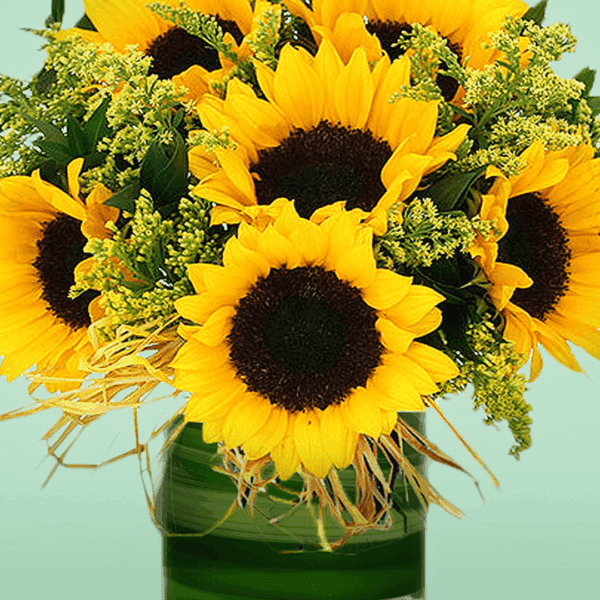 Sunny Sunflowers Vase Arrangement with fresh yellow sunflowers, seasonal blooms, and lush greenery beautifully arranged in an elegant glass vase for cheerful gifting and home décor.