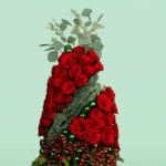 Tree Shaped - christmas rose plant (2)