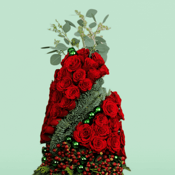 Christmas tree-shaped rose plant gift arrangement with festive red blooms, decorative wrapping, and holiday charm, perfect for Christmas celebrations and seasonal gifting.