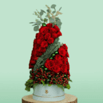 Tree Shaped - christmas rose plant (3)