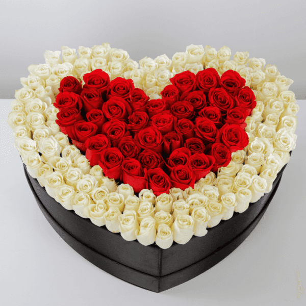 magnificent_love_of_white_and_red_roses_ Buy Flowers Online
