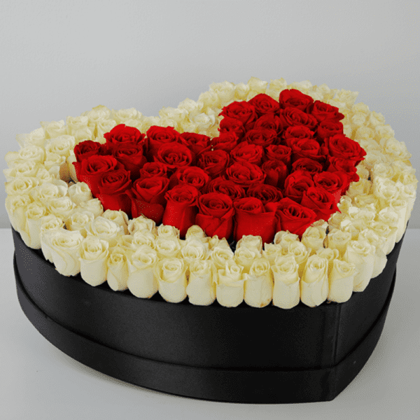 magnificent_love_of_white_and_red_roses_