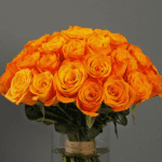 Bunch of Orange Roses