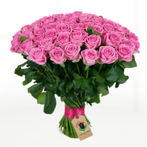 Pink Roses Online Delivery