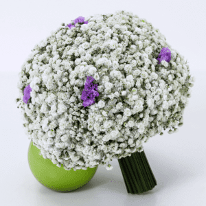 Buy Million Star Bridal Bouquets - Baby's breath bouquet