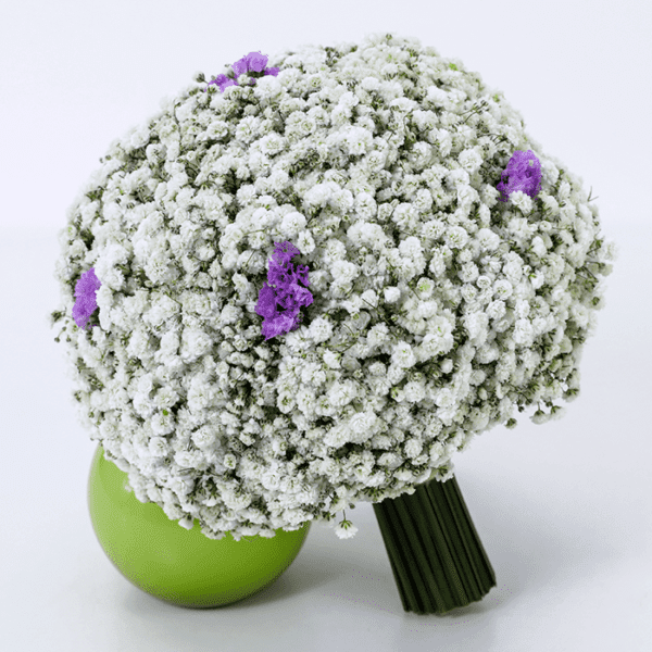 Buy Million Star Bridal Bouquets - Baby's breath bouquet