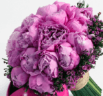 bridal_bouquet_-_pink_peonies_-_copy