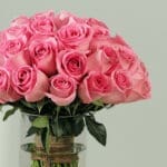 light-pink-roses-vase