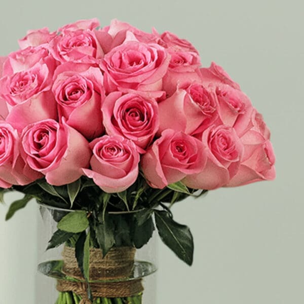 Bunch of light pink Bangalore roses wrapped elegantly