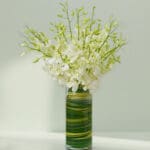 20 stems of buy white orchids in glass vase