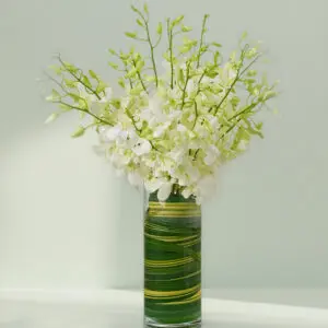 20 stems of buy white orchids in glass vase