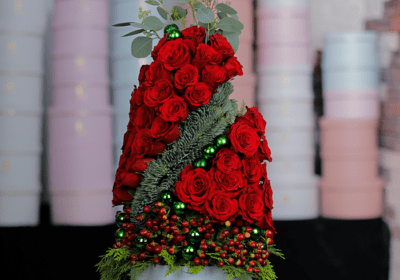%title% %sep% christmas rose plant in %sitename%