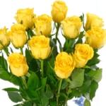classic_dozen_yellow_roses