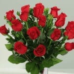 delicate-red-roses copy 1