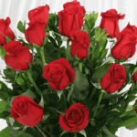 delicate_red_roses