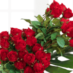 luxury_red_roses