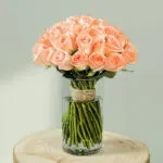 peach-roses-vase (1)