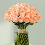 peach-roses-vase (2)