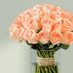 peach-roses-vase (3)