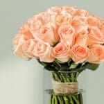 peach-roses-vase (3)