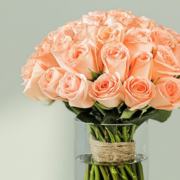 A bunch of peach roses in a glass cylinder vase