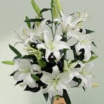 wonderful-lilies (1)