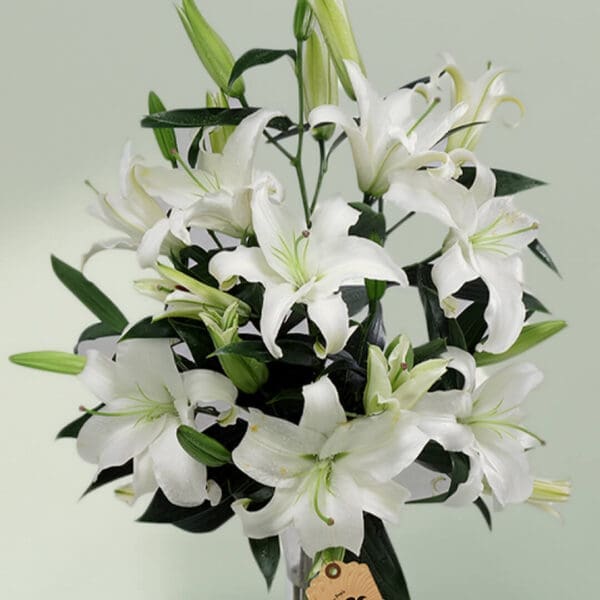 10 stems of white lilies in glass vase