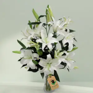 10 stems of white lilies in glass vase