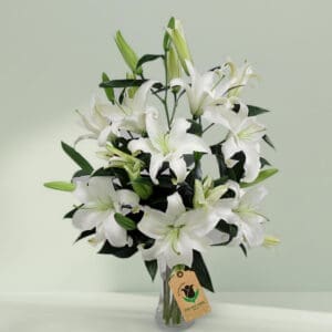 10 stems of white lilies in glass vase