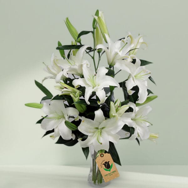 10 stems of white lilies in glass vase