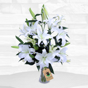 Buy Lily Flowers Online
